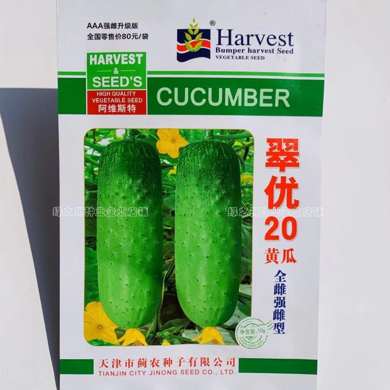 翠优20全雌强雌水果黄瓜种子瓜香味浓口感脆嫩黄瓜种籽高产
