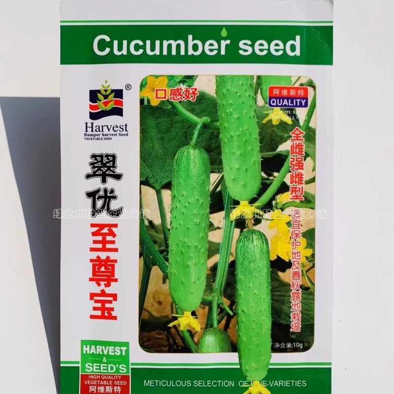 全雌强雌水果黄瓜种子，口感好香甜黄瓜种籽耐低温节节有瓜