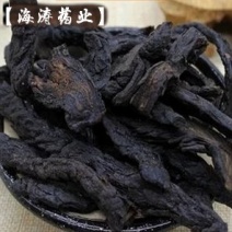 【肉苁蓉】软大云.中药材批发.质量保证规格齐全.