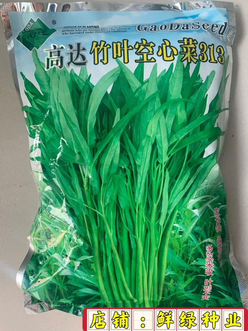 纯进口泰国柳叶空心菜种子质柔嫩纤维少生长快抗逆优
