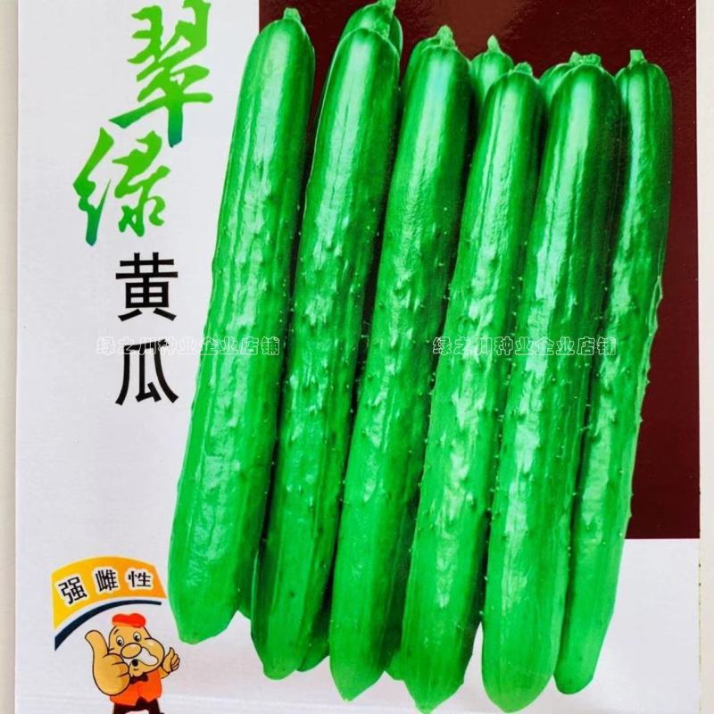 【刺少瓜型直】强雌性翠绿黄瓜种子,南北方甜脆节节有瓜