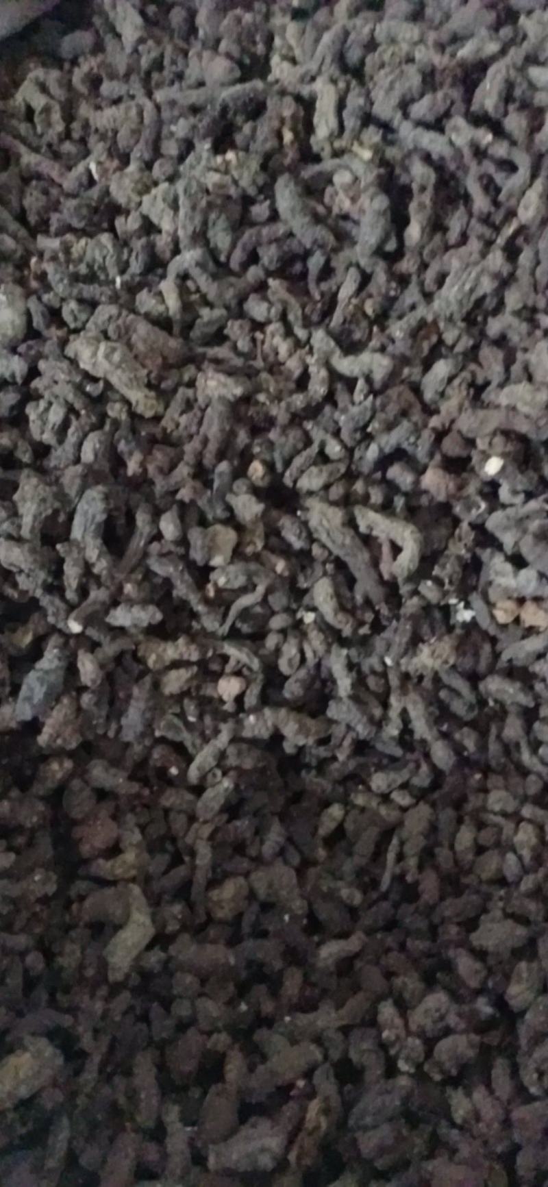 【天葵子】.中药材批发.质量保证规格齐全.