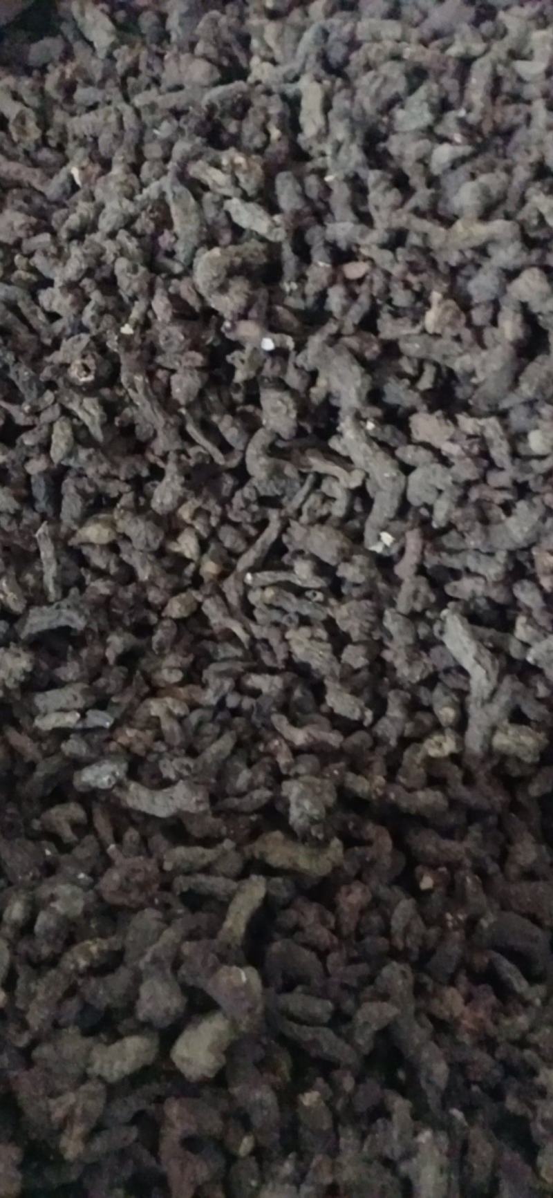 【天葵子】.中药材批发.质量保证规格齐全.