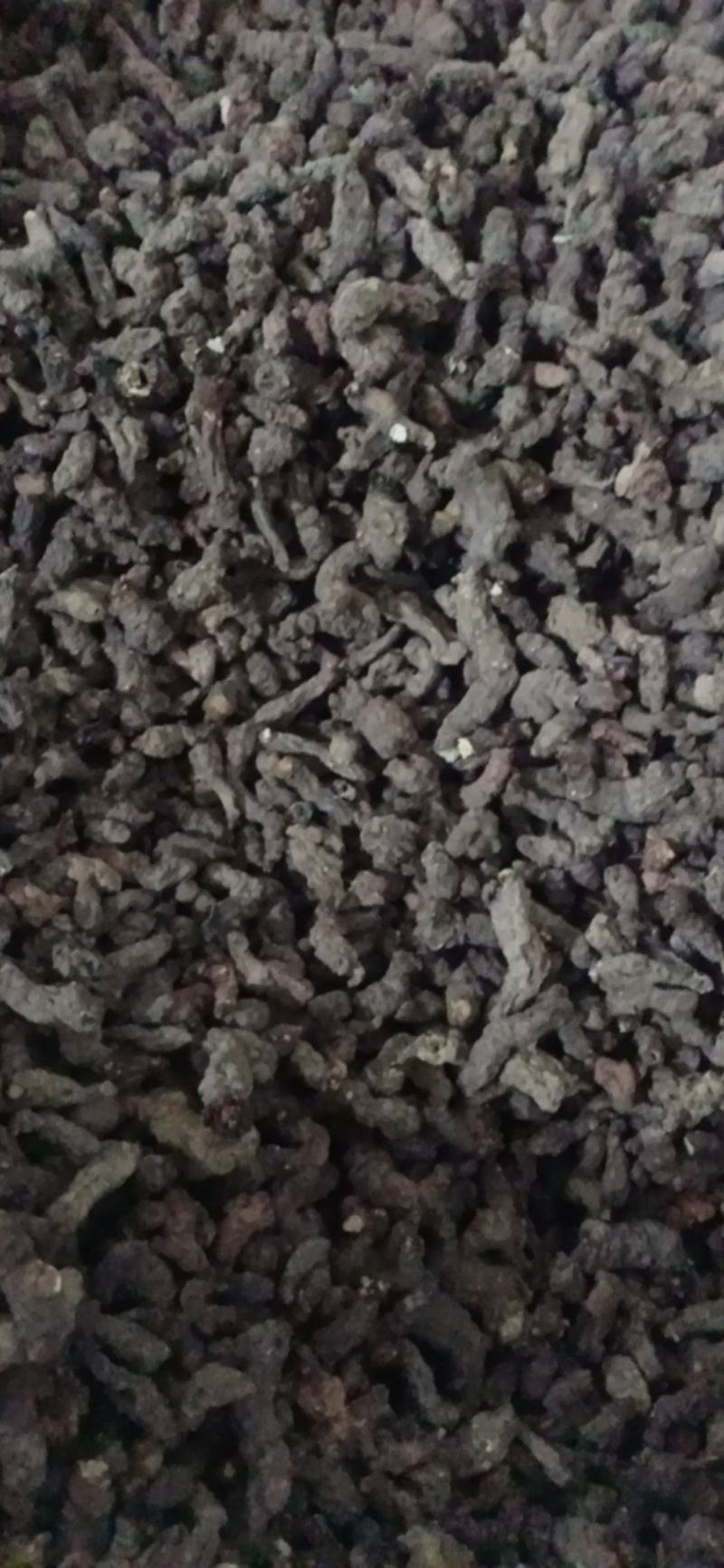 【天葵子】.中药材批发.质量保证规格齐全.