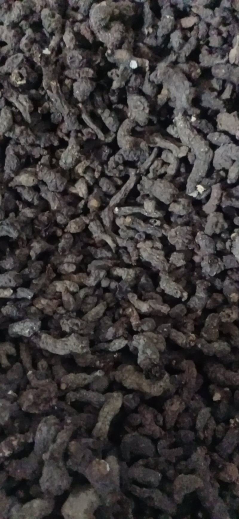 【天葵子】.中药材批发.质量保证规格齐全.