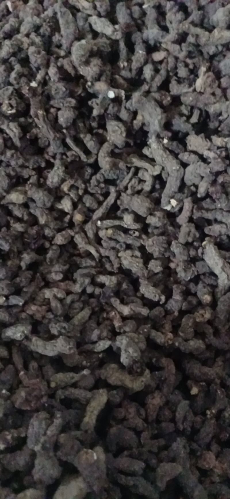 【天葵子】.中药材批发.质量保证规格齐全.