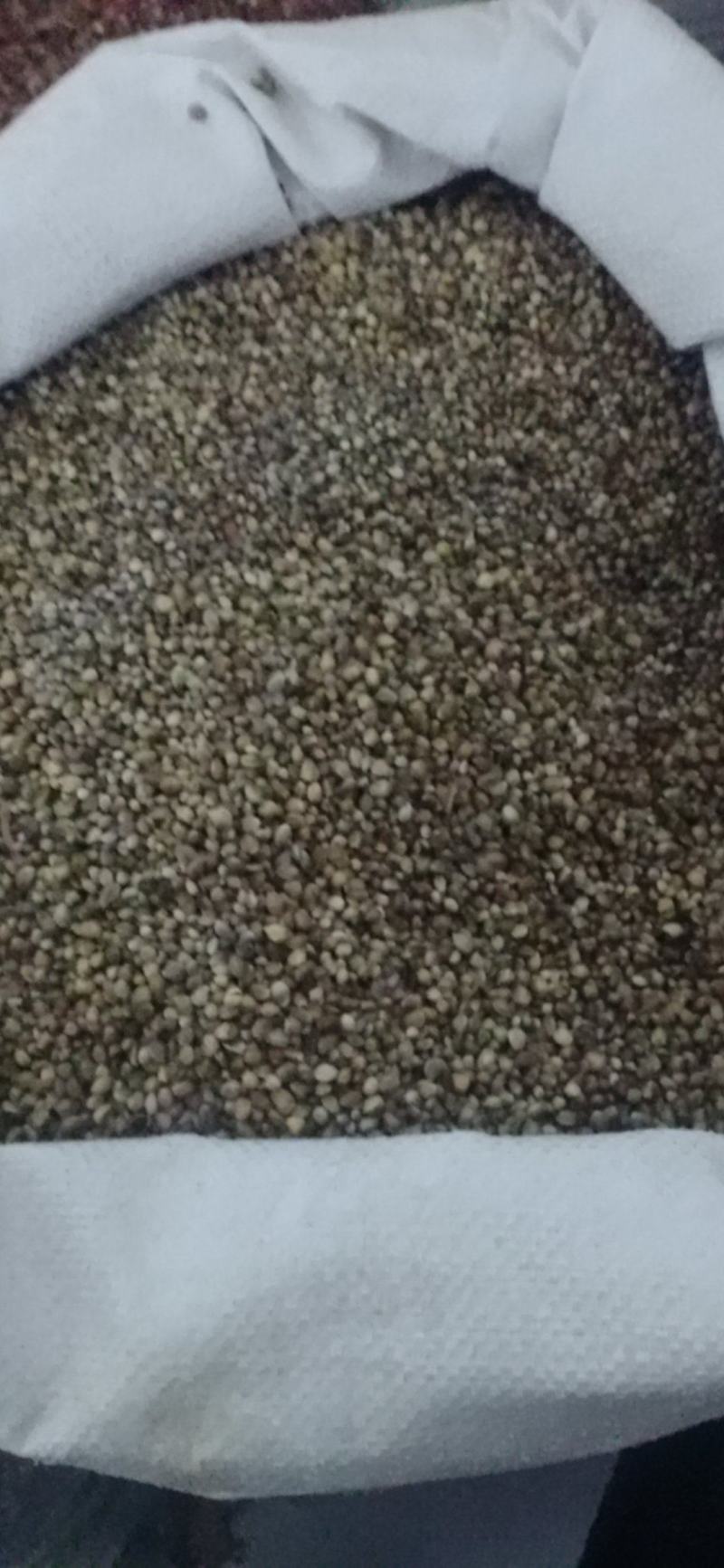 【火麻仁】.中药材批发.质量保证规格齐全.