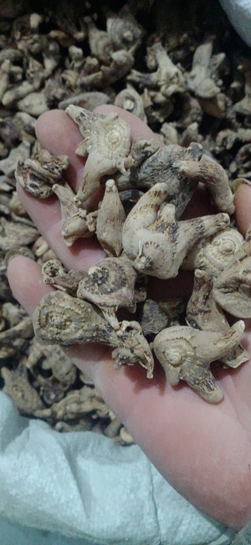 【白芨】白及个.白及片中药材批发.质量保证规格齐全.