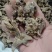 【白芨】白及个.白及片中药材批发.质量保证规格齐全.