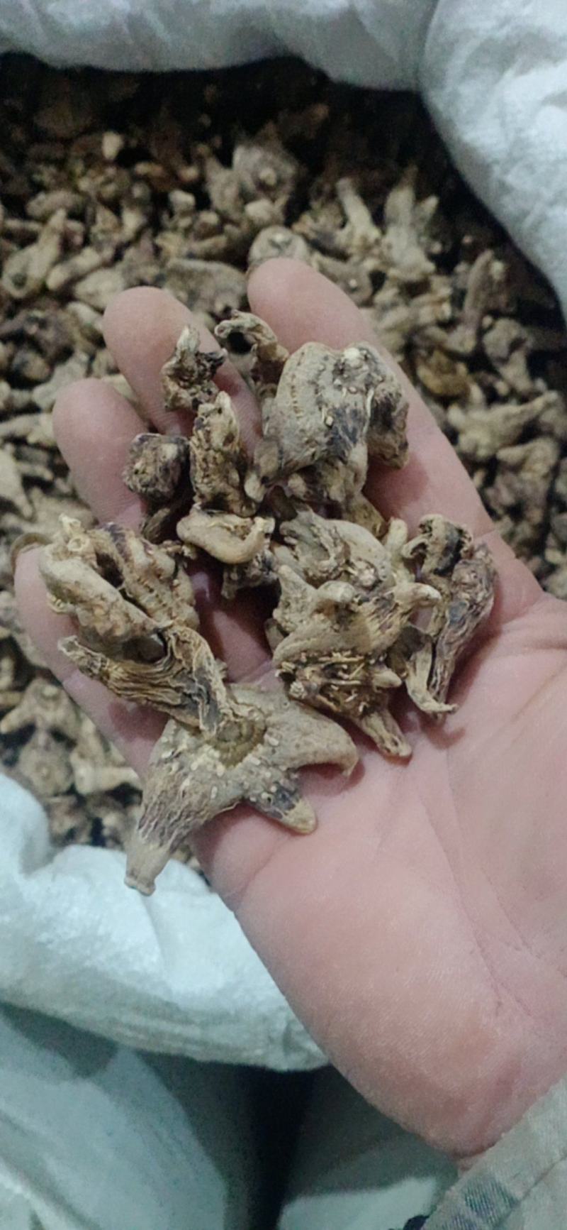 【白芨】白及个.白及片中药材批发.质量保证规格齐全.
