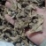 【白芨】白及个.白及片中药材批发.质量保证规格齐全.
