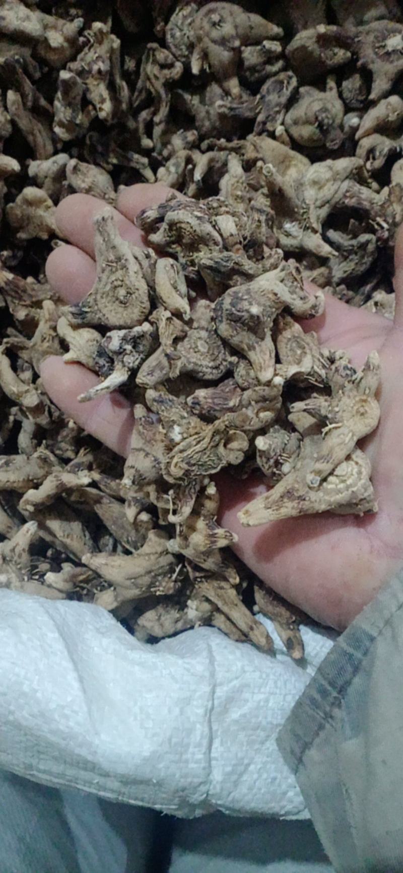 【白芨】白及个.白及片中药材批发.质量保证规格齐全.
