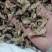 【白芨】白及个.白及片中药材批发.质量保证规格齐全.