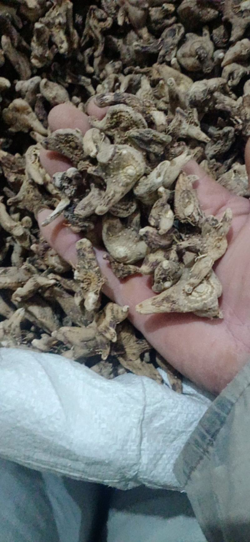 【白芨】白及个.白及片中药材批发.质量保证规格齐全.