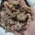 【白芨】白及个.白及片中药材批发.质量保证规格齐全.