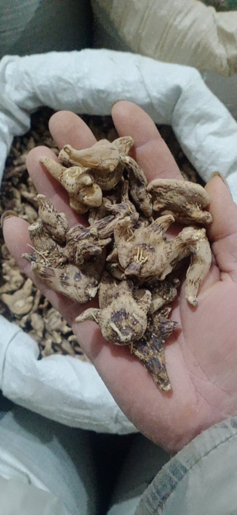 【白芨】白及个.白及片中药材批发.质量保证规格齐全.