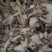 【白芨】白及个.白及片中药材批发.质量保证规格齐全.