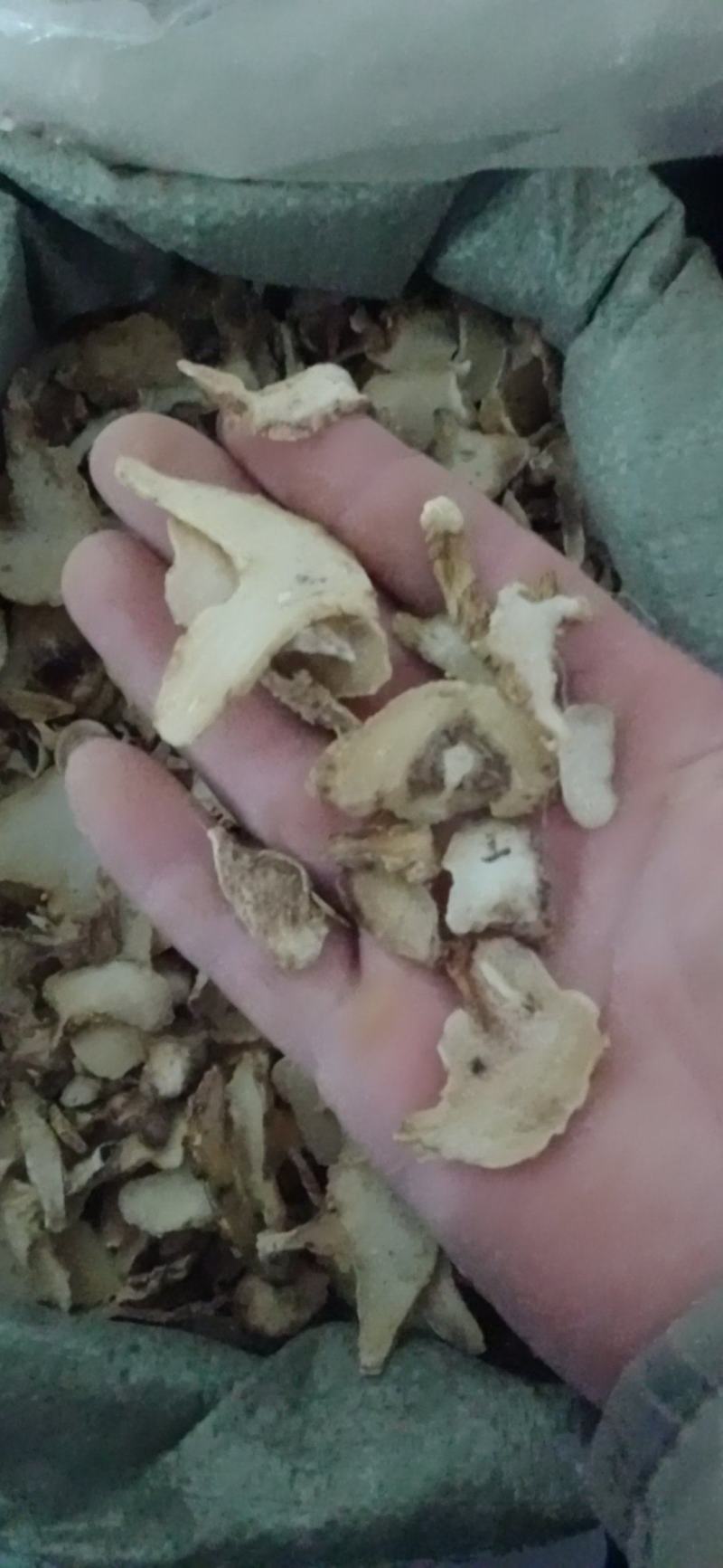 【白芨】白及个.白及片中药材批发.质量保证规格齐全.