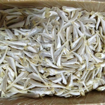 淡味六角鱼九成干新鲜度很好不咸适合摆地摊档口