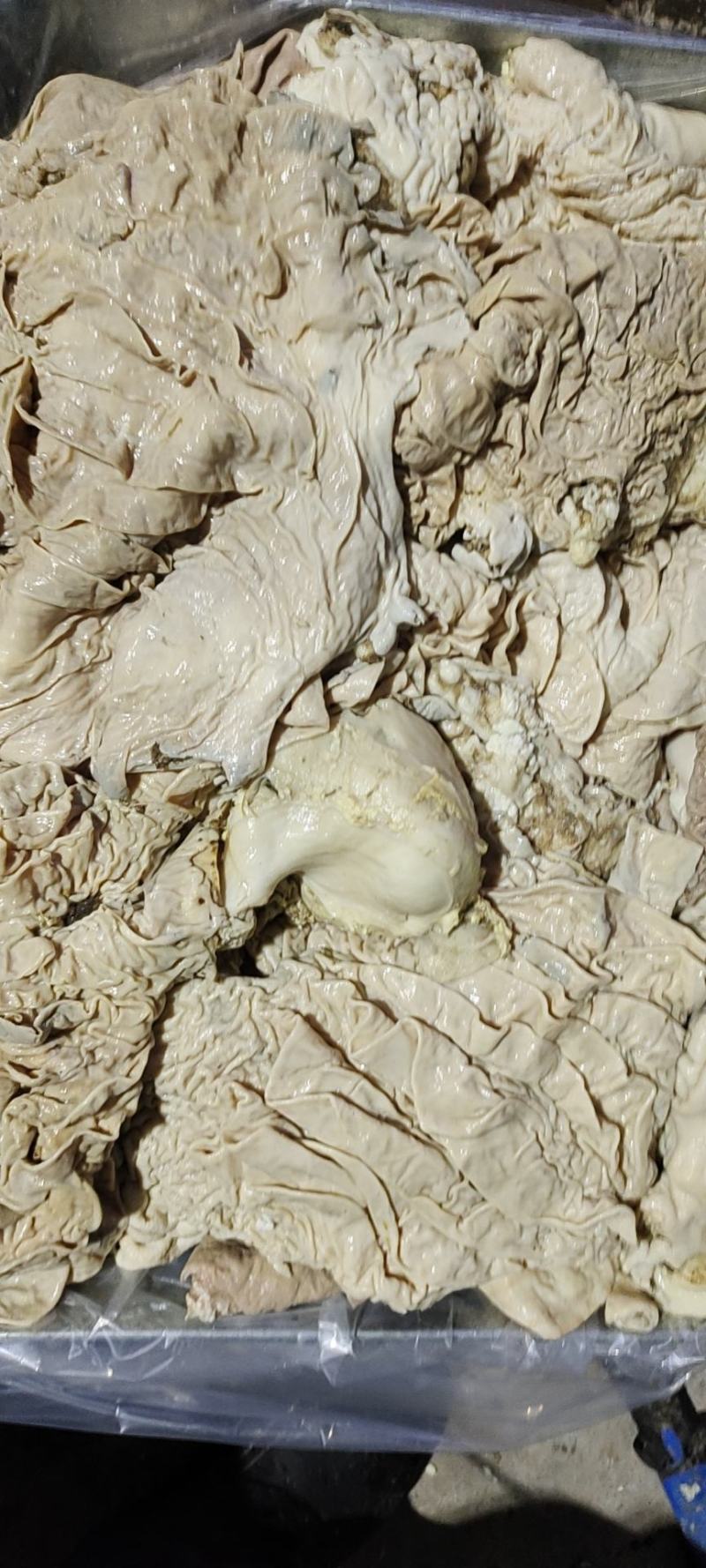 牛副产品，，牛肉，牛大小肠，肠头，散袋。牛肚，百叶