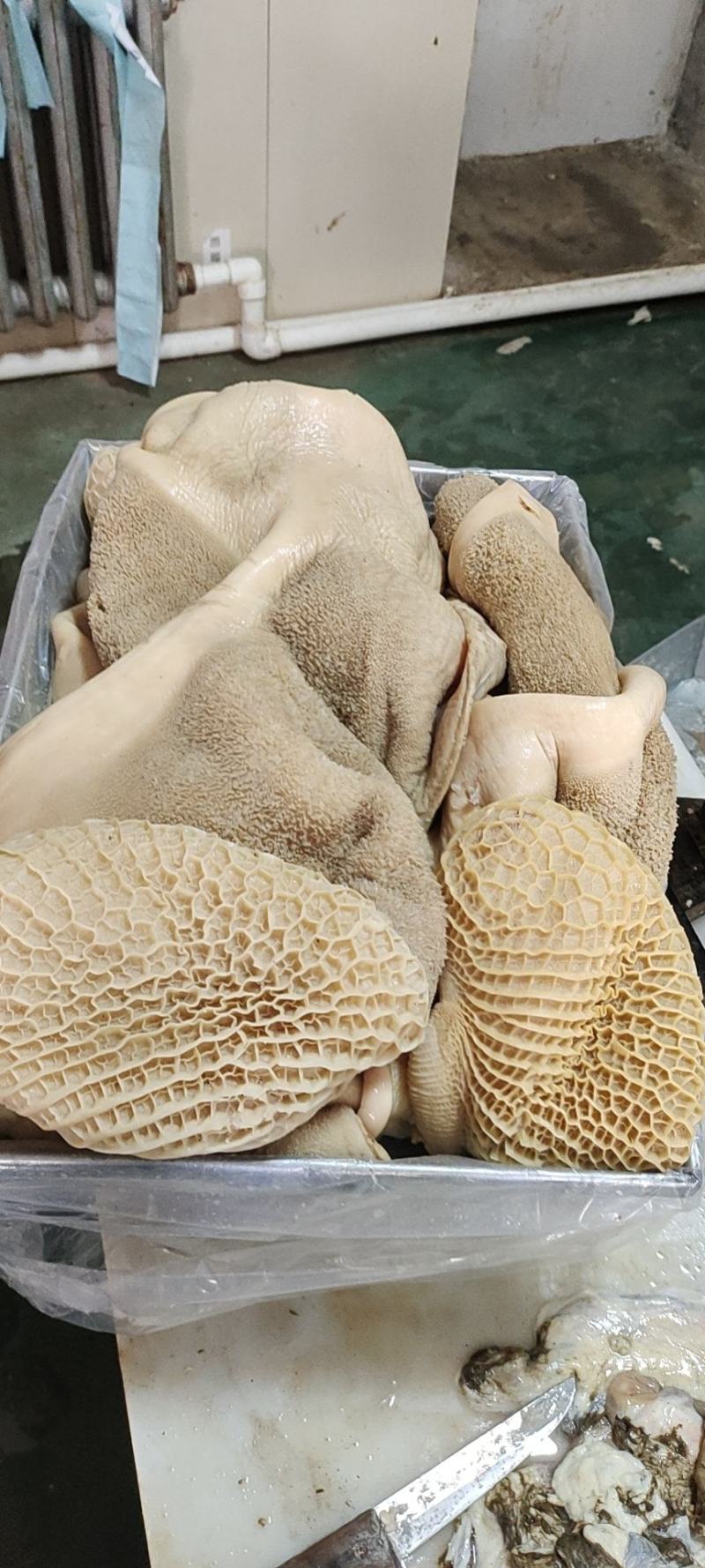 牛副产品，，牛肉，牛大小肠，肠头，散袋。牛肚，百叶