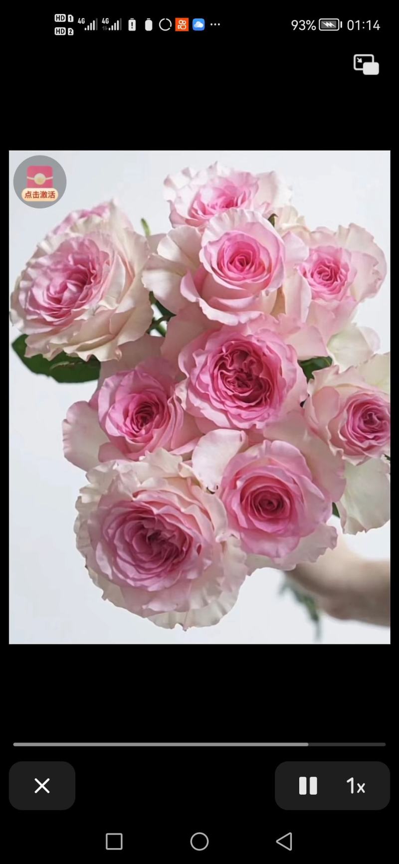 鲜花种植