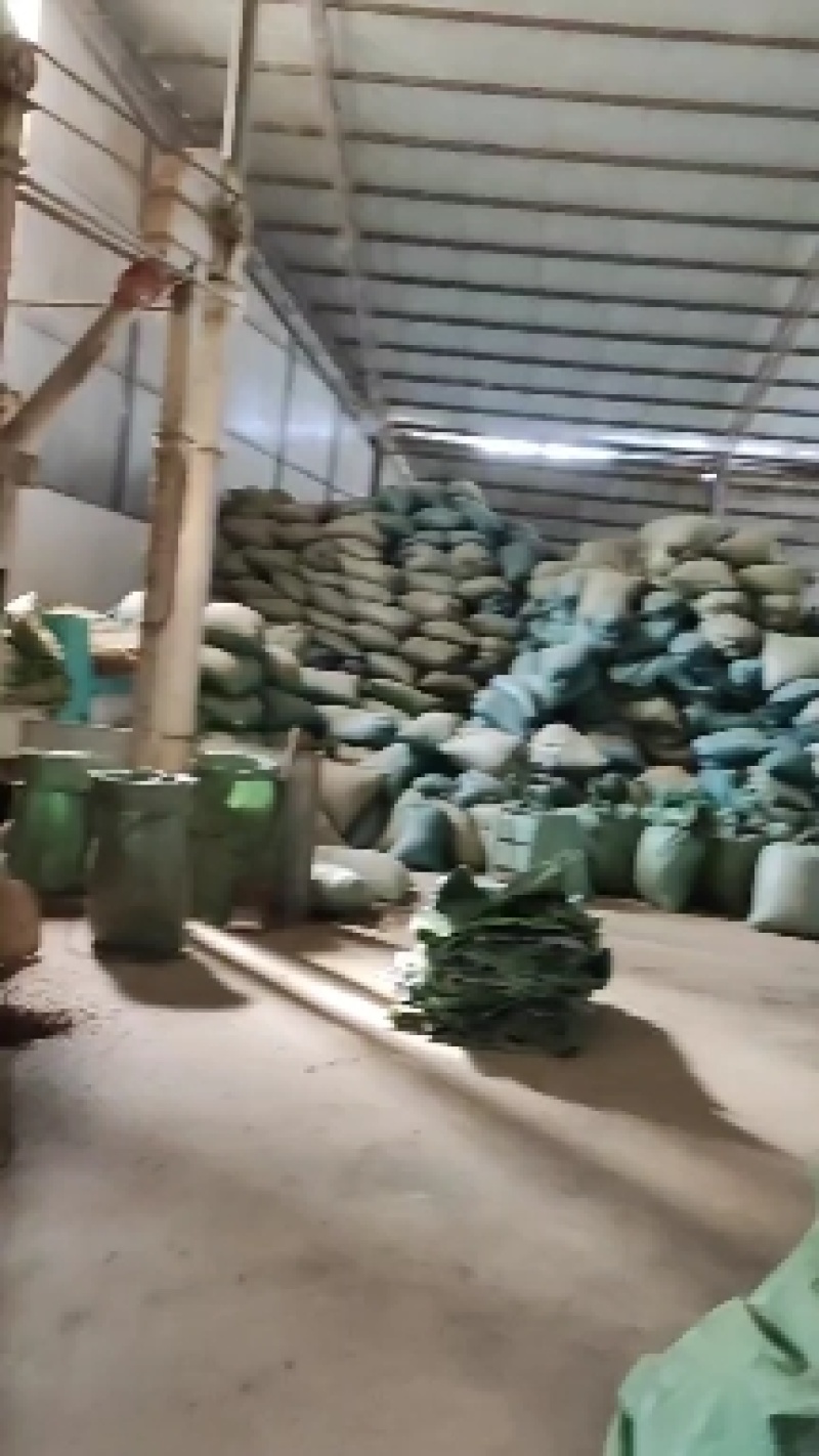 【磨粉】云南咖啡烘焙豆咖啡豆，产地直发，价格优惠，电联，