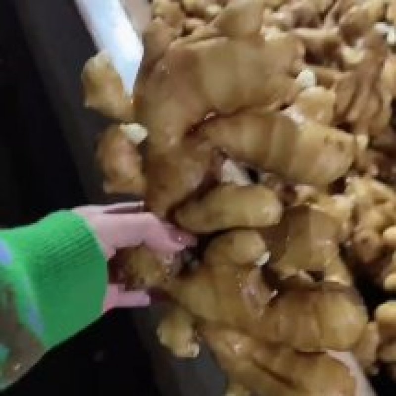 红成生姜批发市场