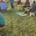 芦蒿产地供应
