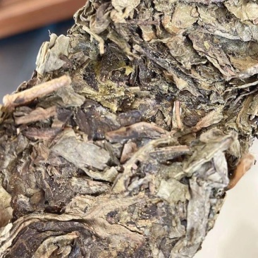 黑茶
