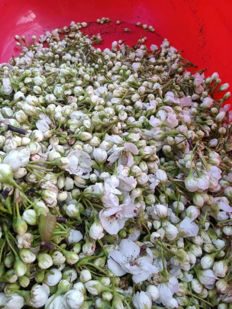 梨花粉