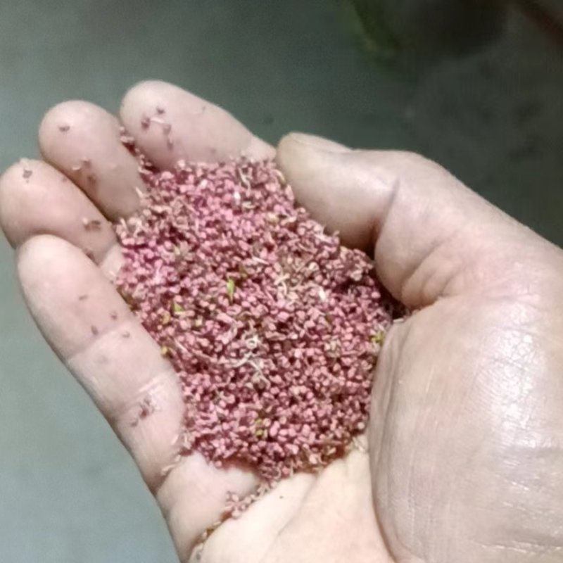 梨花粉