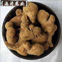 【炮姜】产地保质保量.一手货源大货供应.规格齐全