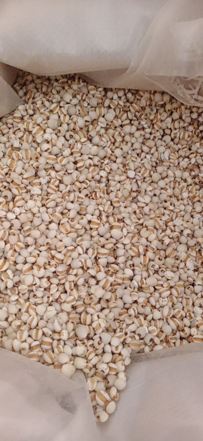 【薏苡仁】玉米仁药食两用.中药材批发.质量保证规格齐全.