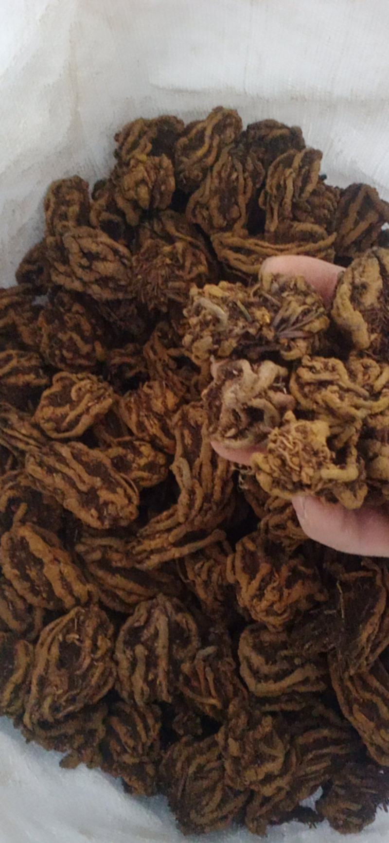黄连个.黄连片.鸡爪连规格齐全产地直销.中药材批发.质量