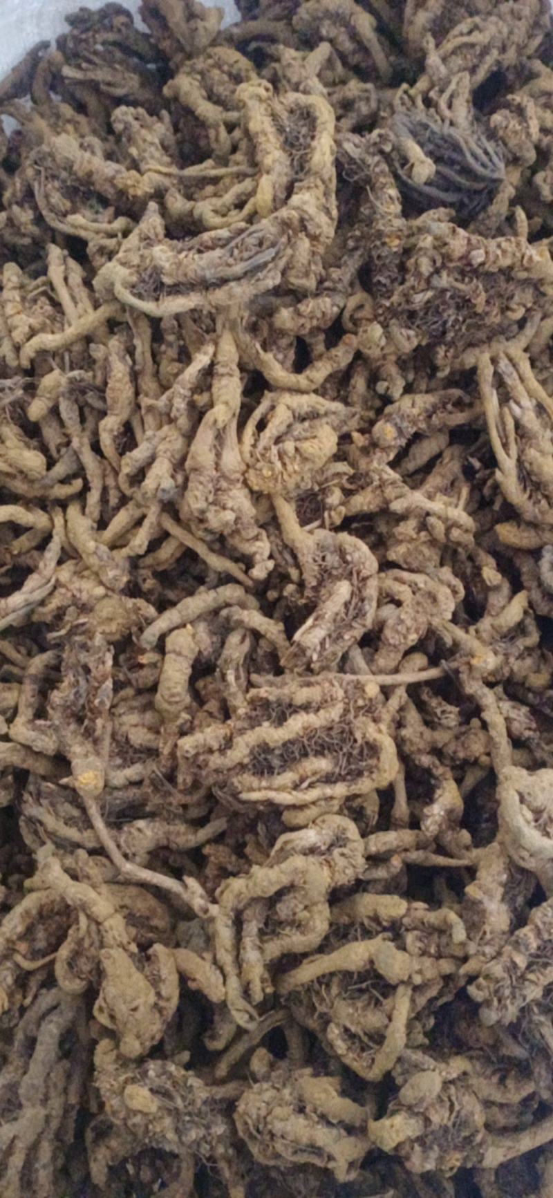 黄连个.黄连片.鸡爪连规格齐全产地直销.中药材批发.质量