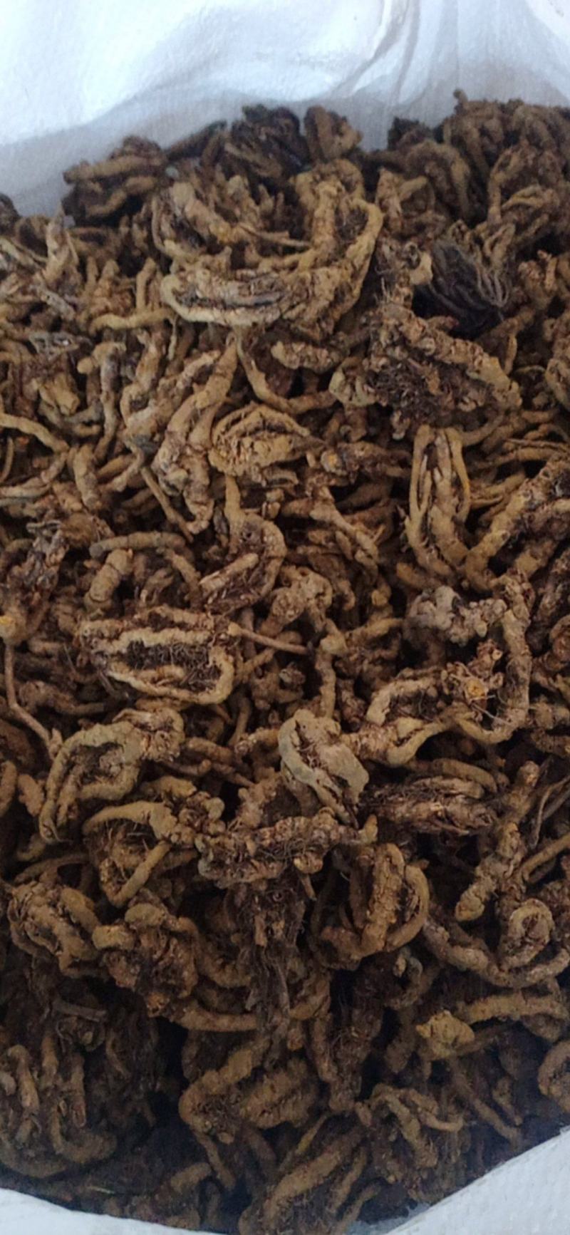 黄连个.黄连片.鸡爪连规格齐全产地直销.中药材批发.质量