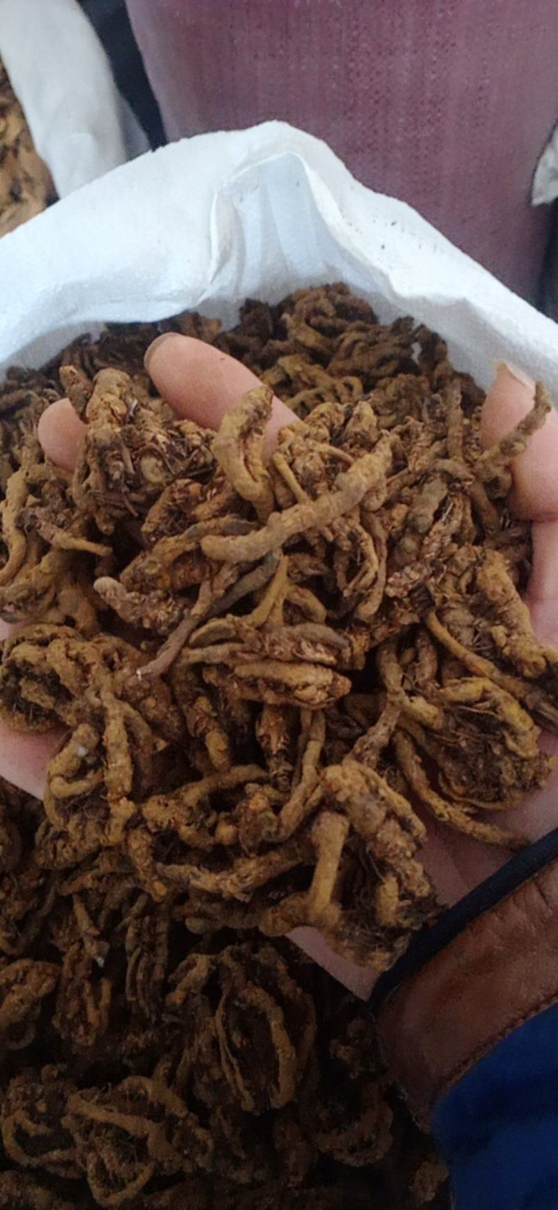 黄连个.黄连片.鸡爪连规格齐全产地直销.中药材批发.质量