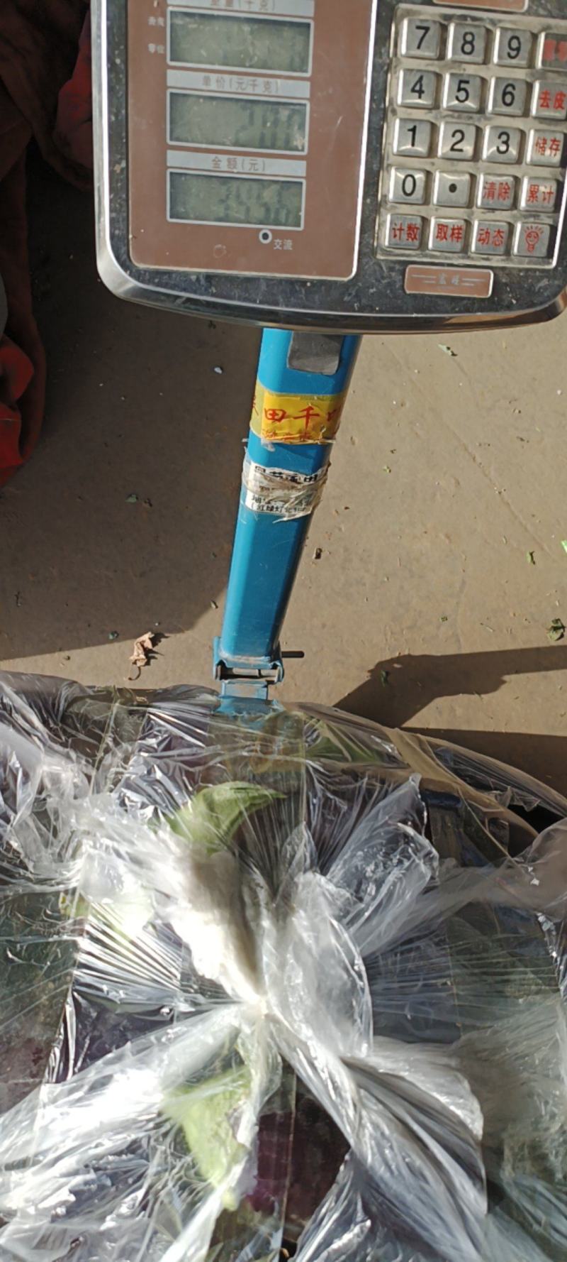 (推荐)山东烧烤茄黑长茄，大量供应，货源充足