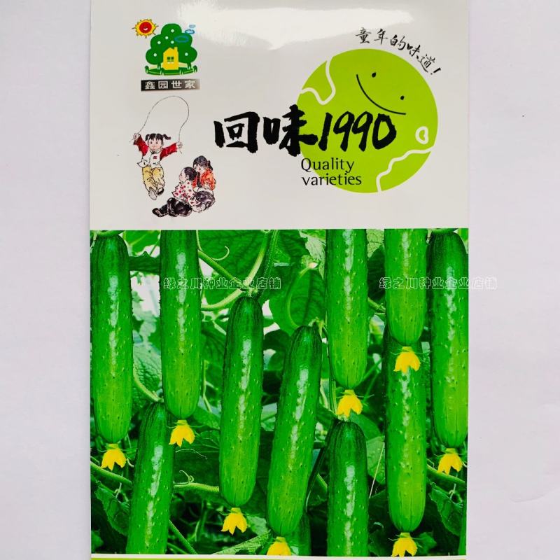 优质口感型水果黄瓜种子回味1990强雌性黄瓜种子无需蘸花