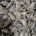 【牛蒡】茶用牛蒡片.中药材批发.质量保证规格齐全.