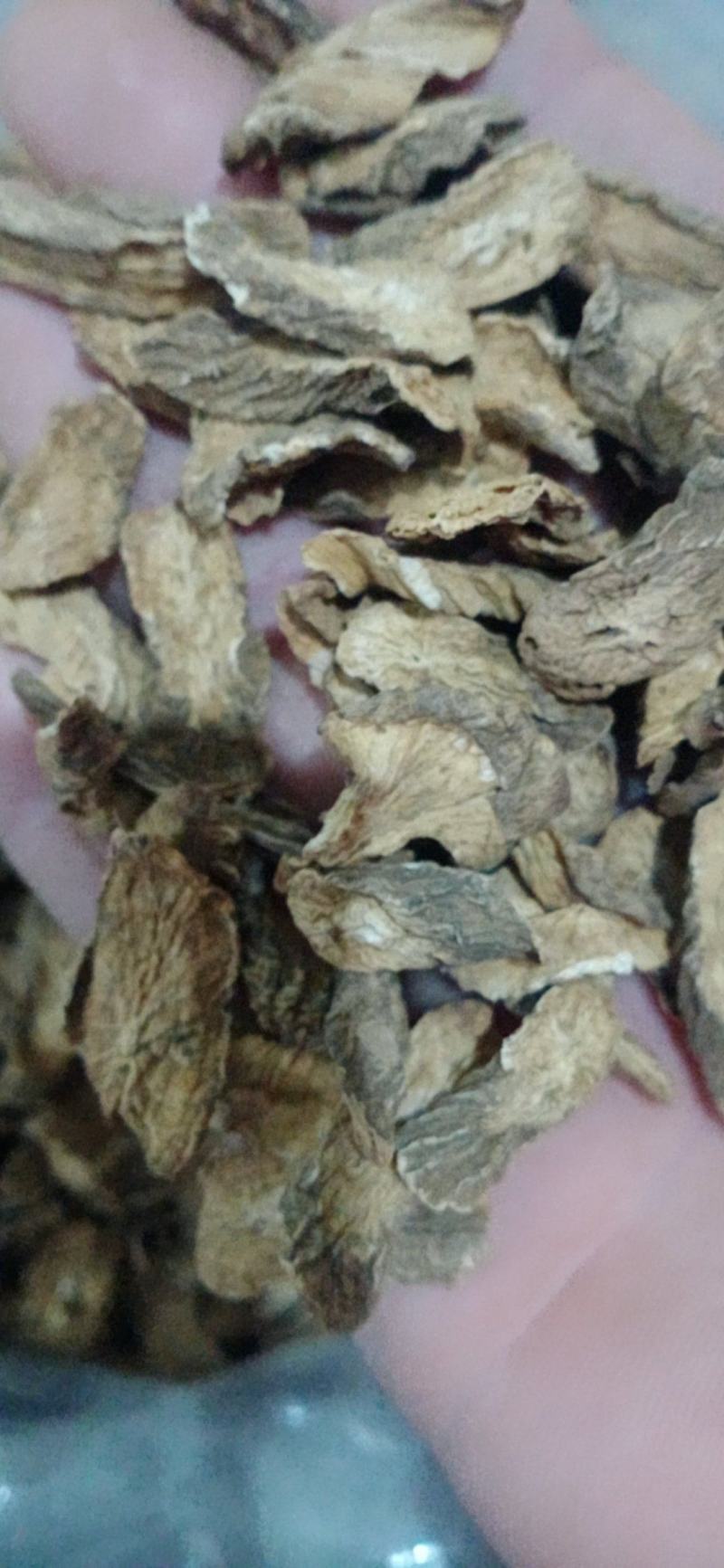 【牛蒡】茶用牛蒡片.中药材批发.质量保证规格齐全.