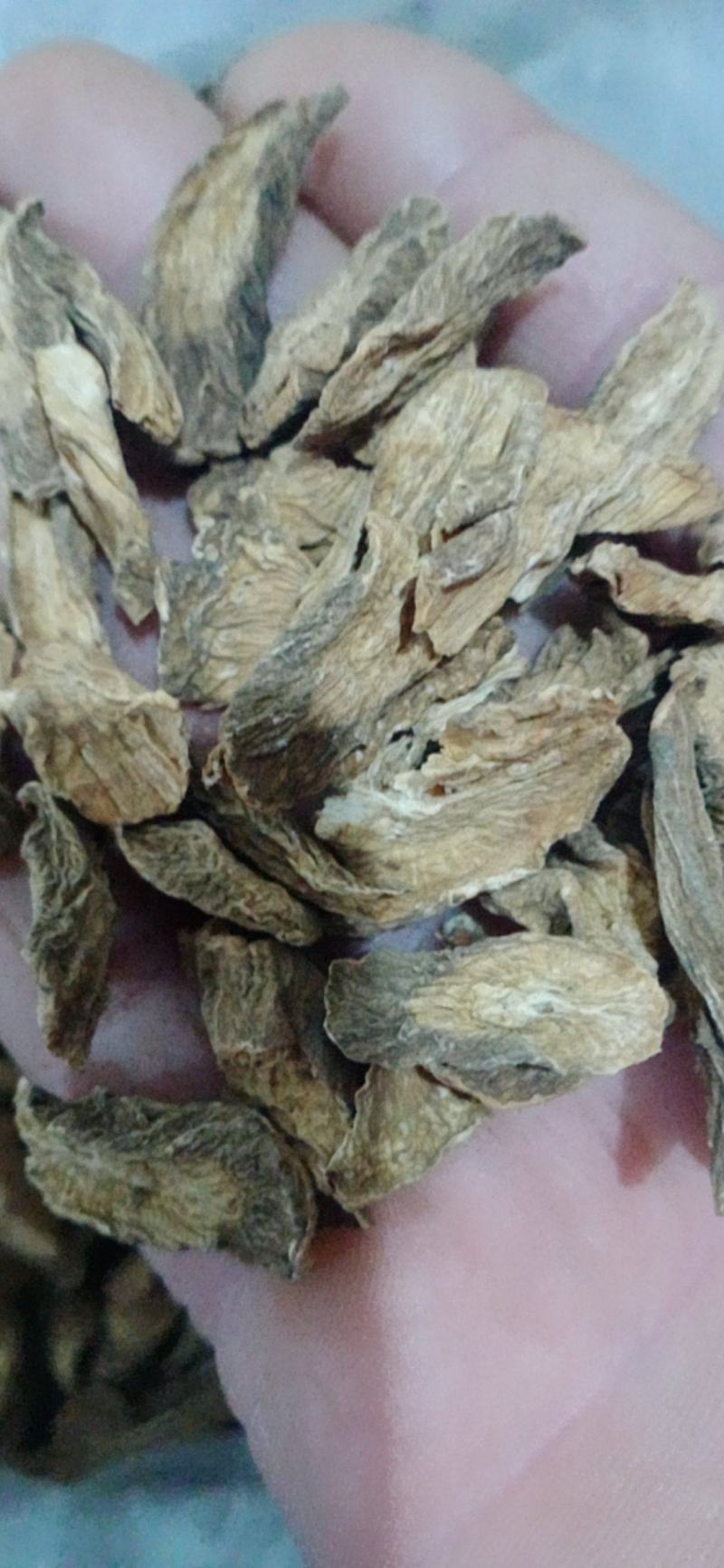 【牛蒡】茶用牛蒡片.中药材批发.质量保证规格齐全.