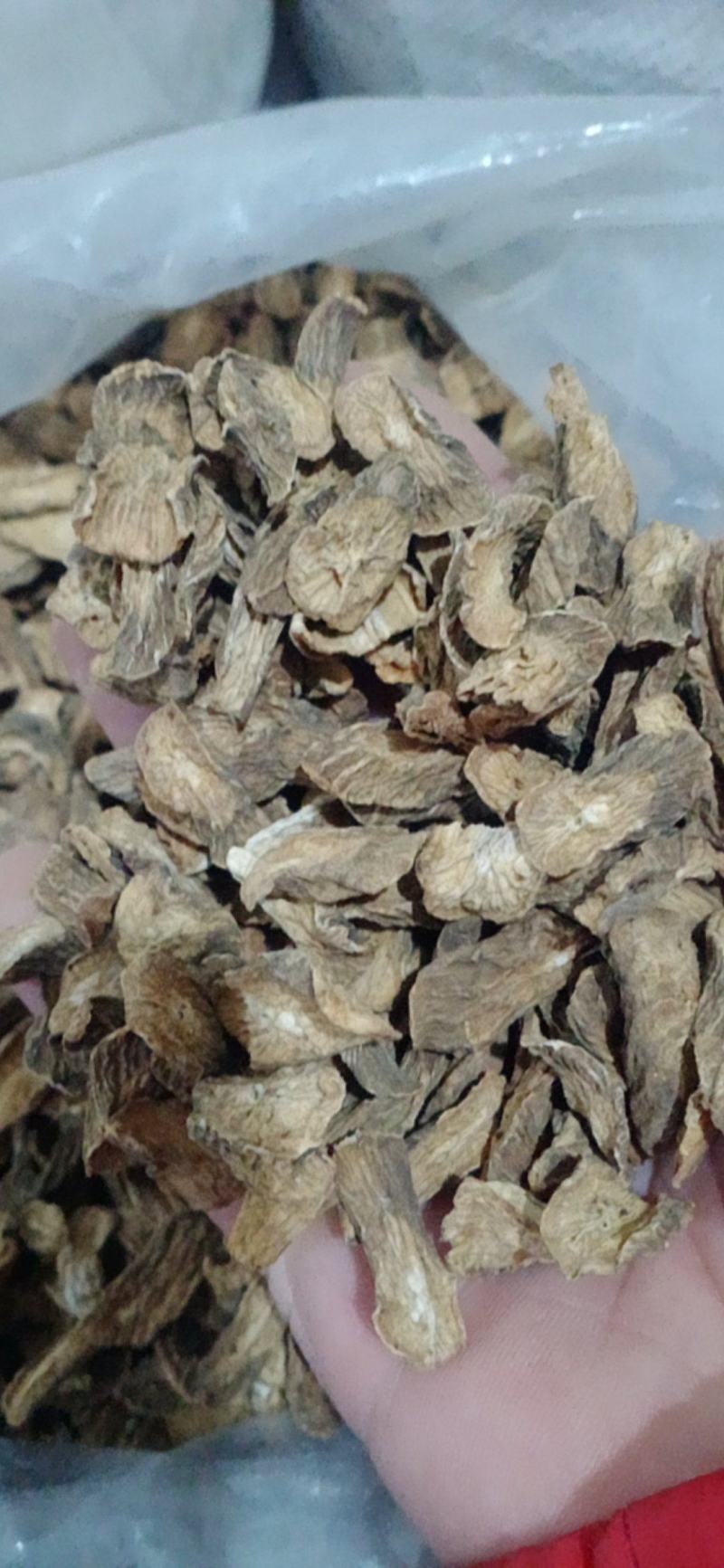 【牛蒡】茶用牛蒡片.中药材批发.质量保证规格齐全.