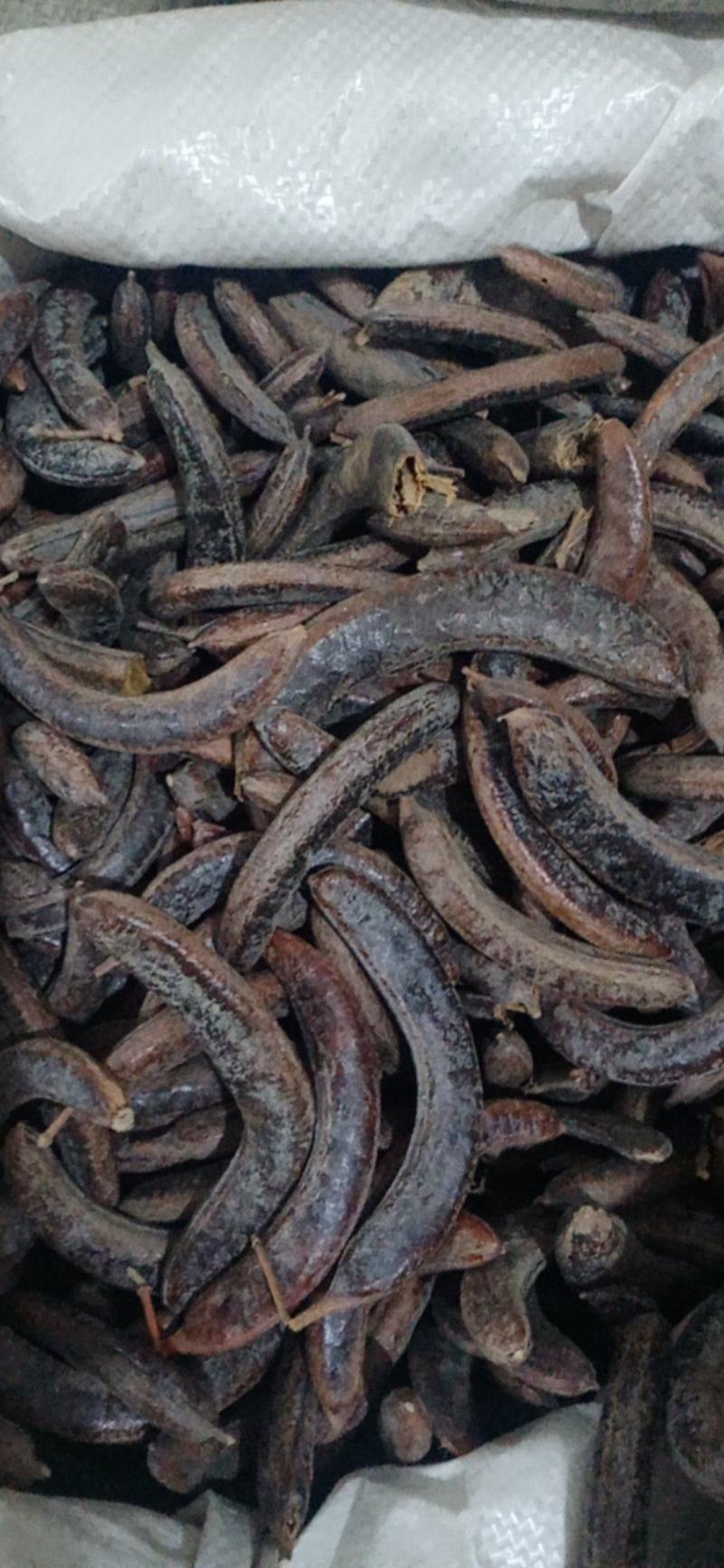【猪牙皂】小皂角..中药材批发.质量保证规格齐全.