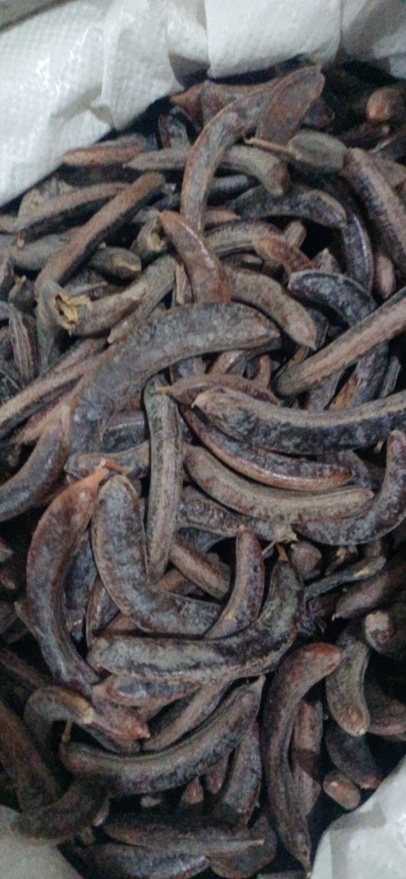【猪牙皂】小皂角..中药材批发.质量保证规格齐全.