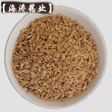 【浮小麦】干净无杂质.中药材批发.质量保证规格齐全.