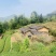 今年新茶雷山银球茶100g铁罐装贵州绿茶雷公山