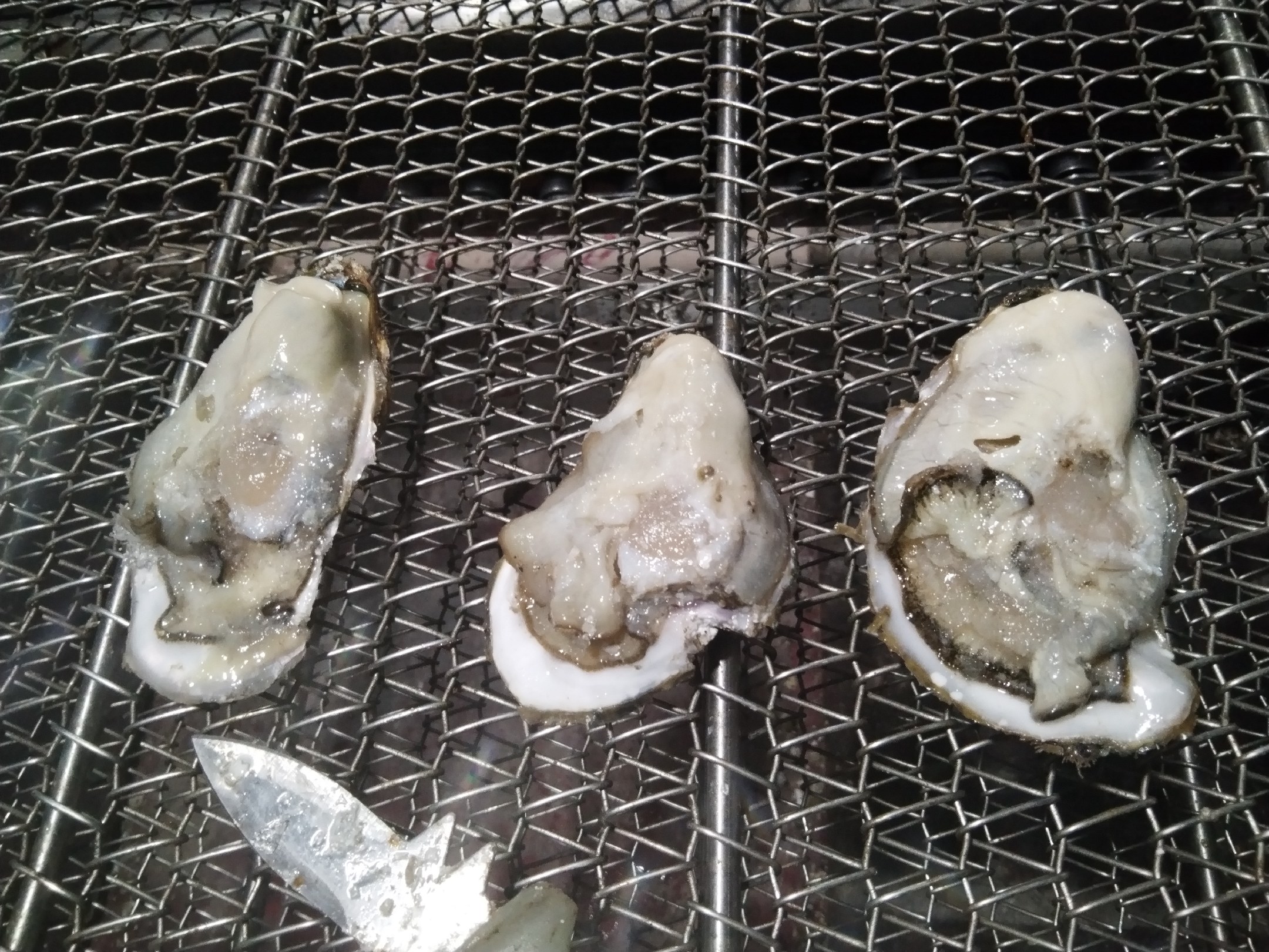 烤生蚝在烤盘上冒着热气