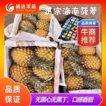 海南香水菠萝大量到货，口感香甜，保质保量，大框散装大量有